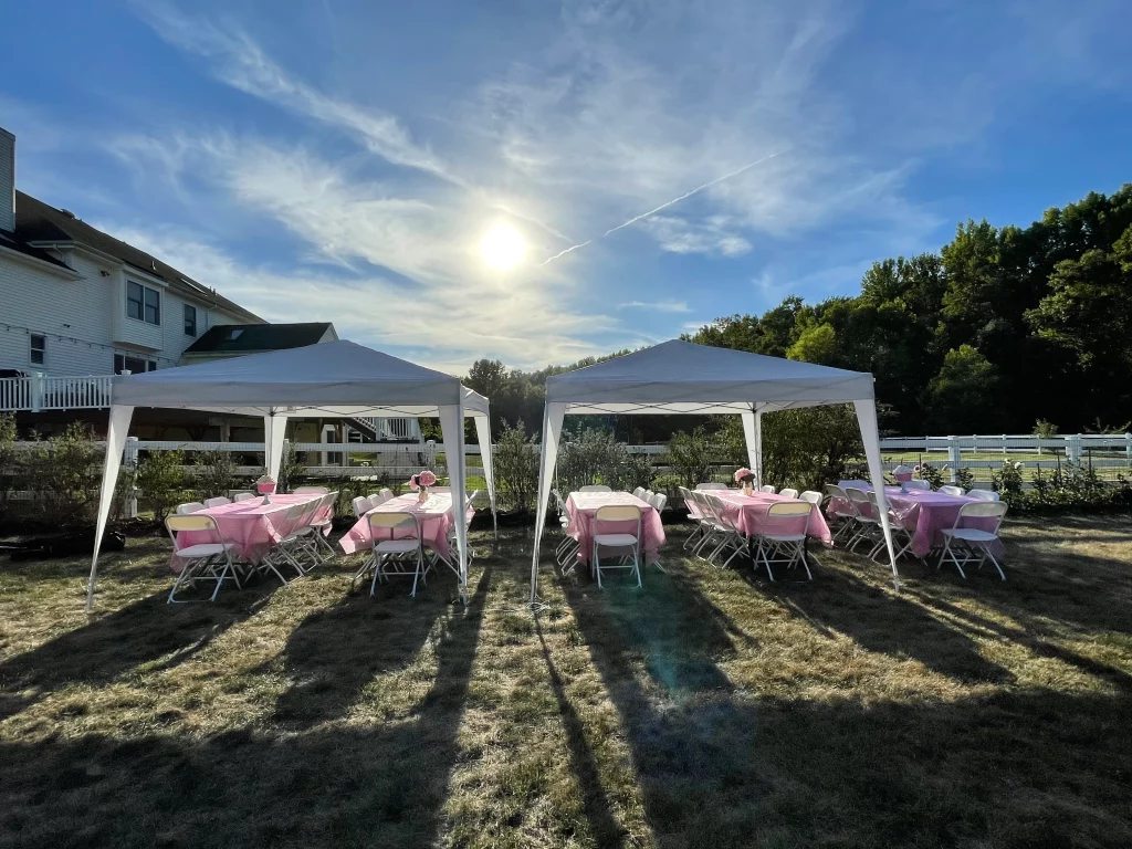 Tent, Table, and Chair Rental for Birthday Party